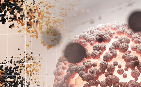 再生医疗（免疫细胞 / 干细胞疗法）