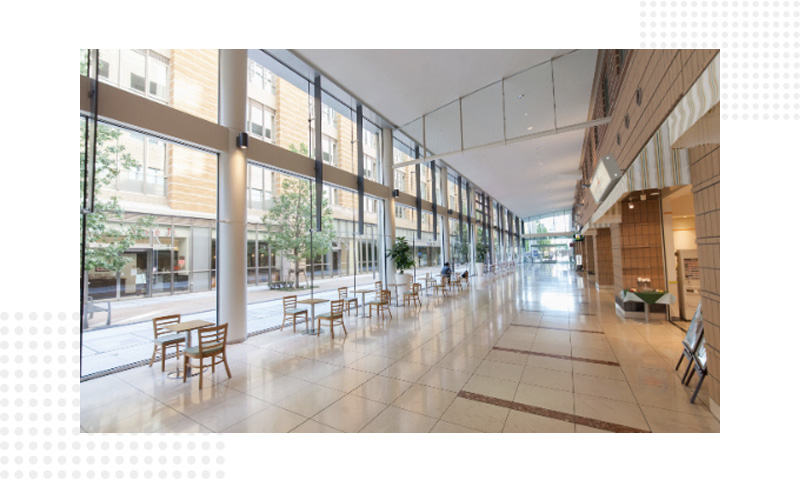 帝京大学医学部附属病院